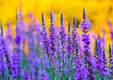 《漂移：羽毛的重量》现已发售 跑酷辣妹逃出生天